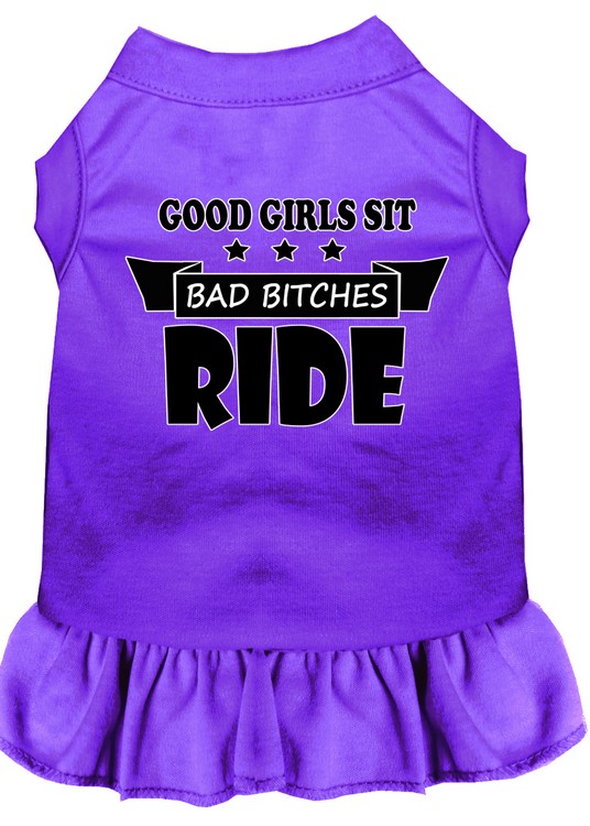 Bitches Ride Screen Print Dog Dress Purple XL